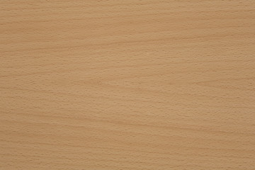 holz