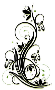 Ranke, Schneeglöckchen, flora, Frühling, Blume, vector