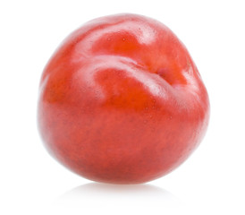 red plum