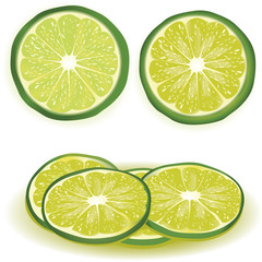 Fototapeta premium lime vector illustration with slices