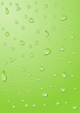 Drops of water on a green background