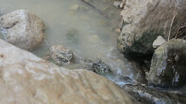 Small brook bubbling