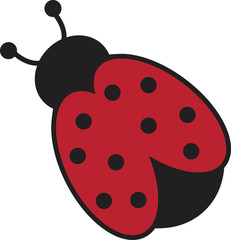 Ladybug