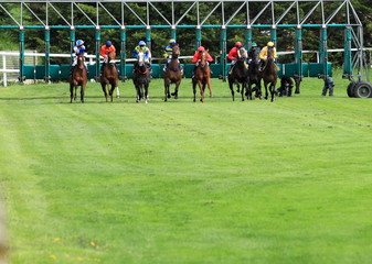 d&eacute;part des boxes sur course hippique