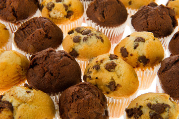 Many chocolate muffins