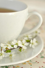 Spring Tea Time