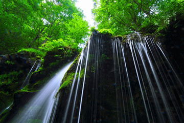 神秘の滝