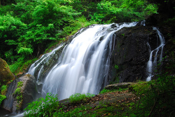 神秘の滝