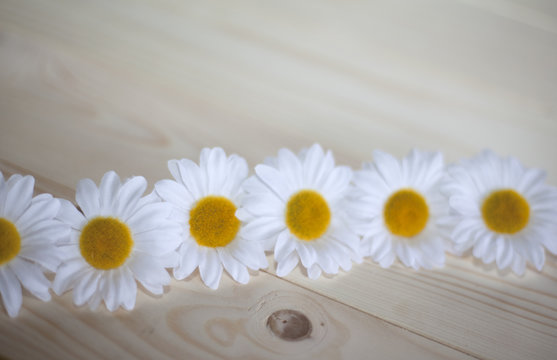ligne de fleures sur un parquet de sapin