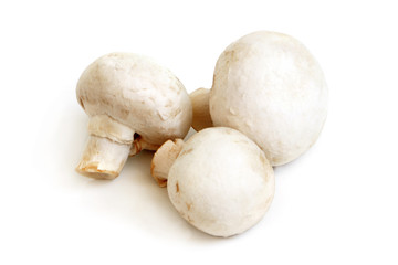 Fresh champignons