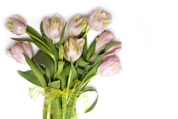 Rosa Tulpen