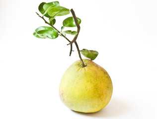 Pomelo fruit with leaves isolated on white background