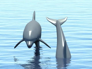Fototapeten Zwei Delphine, die im Ozean schwimmen. © valentinT