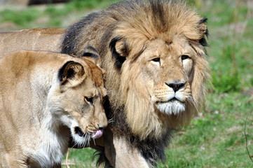 Mann und Frau verliebt