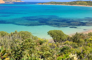 Mare di Capo COda Cavallo - Sardegna