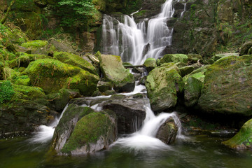 Obraz na płótnie Canvas Torc waterfall in Killarney National Park - Ireland