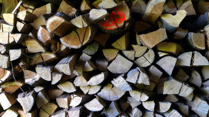 Brennholz gestapelt © focus finder