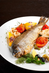 trout fish