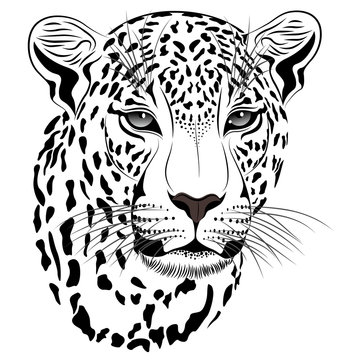 Vector image of a leopard executed in the form of a tattoo