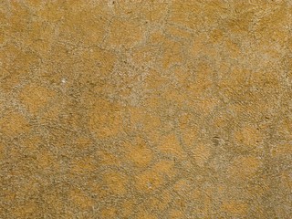 Raw plaster background