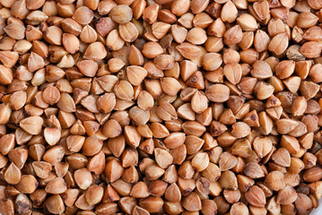 buckwheat