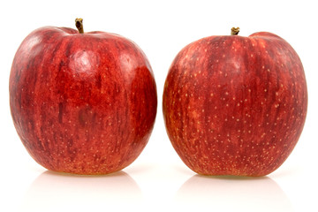 two fresh rip  apples on a white background