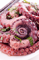Octopus © HLPhoto