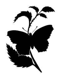Fototapeta premium silhouette of the butterfly on white background