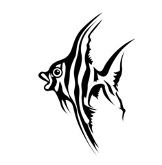 silhouette of sea fish on white background