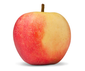 Fresh fruit apple