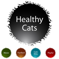 Cat Circle Icon Set