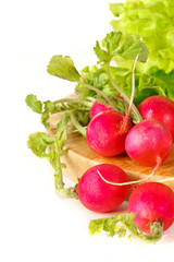 Fresh radish
