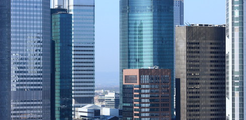 Fototapeta na wymiar Frankfurt nad Menem, wysokie budynki (2011)