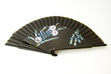 Beautiful fan