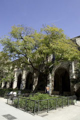 Jardin de Barcelone