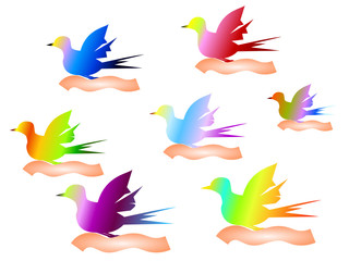bunte vögel