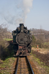 Naklejka premium train