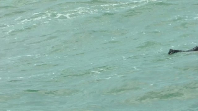 Surfing Time