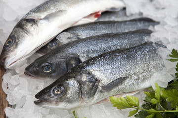 variety of fresh fish seafood in market