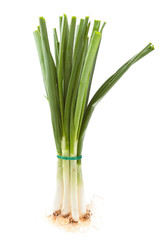 Fresh spring onions, isolated