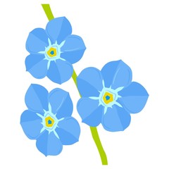 Forget-me-not flower. Vector