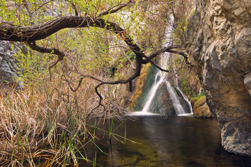 Darwin Falls in Death Valley National Park, California.