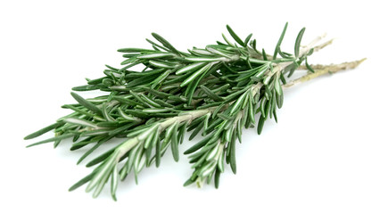 Fresh rosemary
