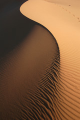 Sahara Desert - obrazy, fototapety, plakaty
