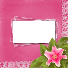 Beautiful pink lily flower on the abstract background with lace