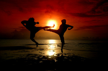 silhouette of two people fighting