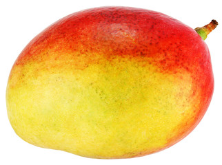 Mango isolated on white.