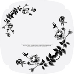 black- white floral background