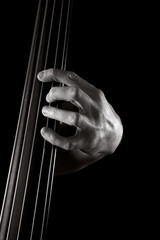 upright bass © Tamara Kulikova