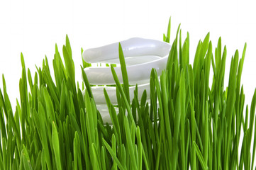 ENERGY SAVING LAMP